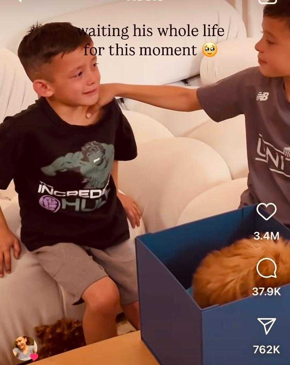 brothers, puppies, teddi, sarah stage, love