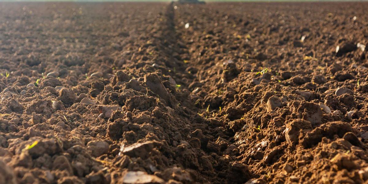 i prezzi dei terreni perdono valore da Laverita.info i prezzi dei terreni perdono valore