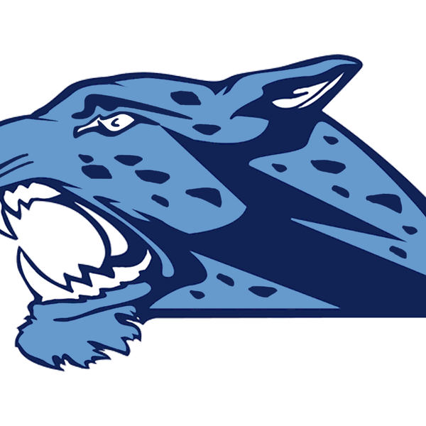 THE HIERARCHY: VYPE SATX Final 2025 Football Rankings; Region's elite primed to make noise in postseason