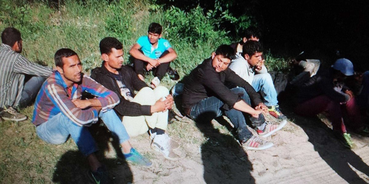 ecco la fabbrica degli immigrati cos236 importiamo altre risorse