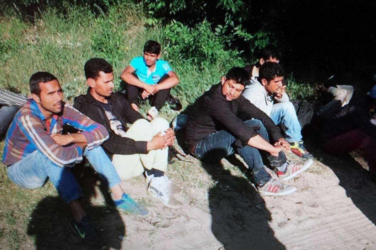 Ecco la fabbrica degli immigrati: così importiamo altre «risorse»