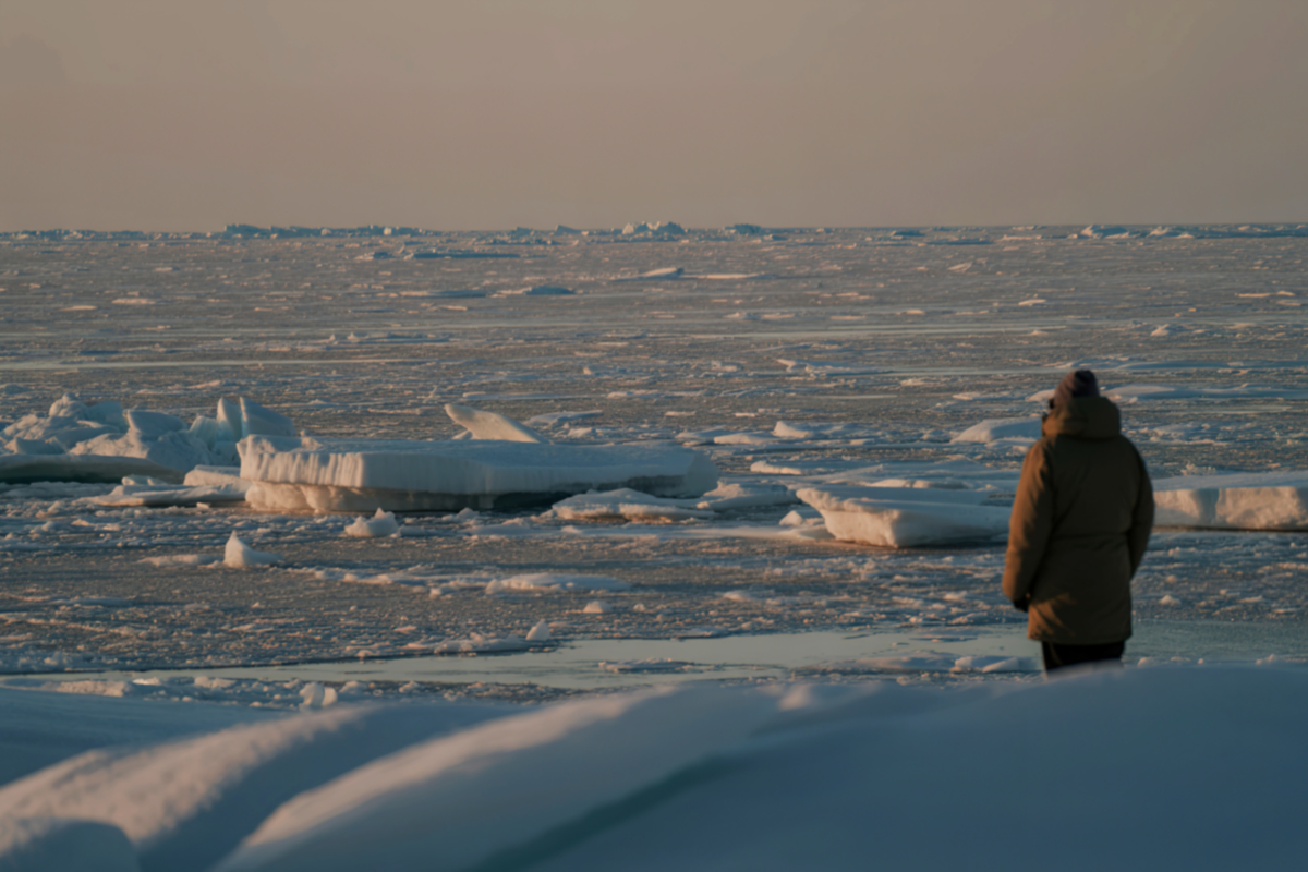 glaciers, glacier, arctic, antarctica, global warming, climate change, environment, globe, conservation