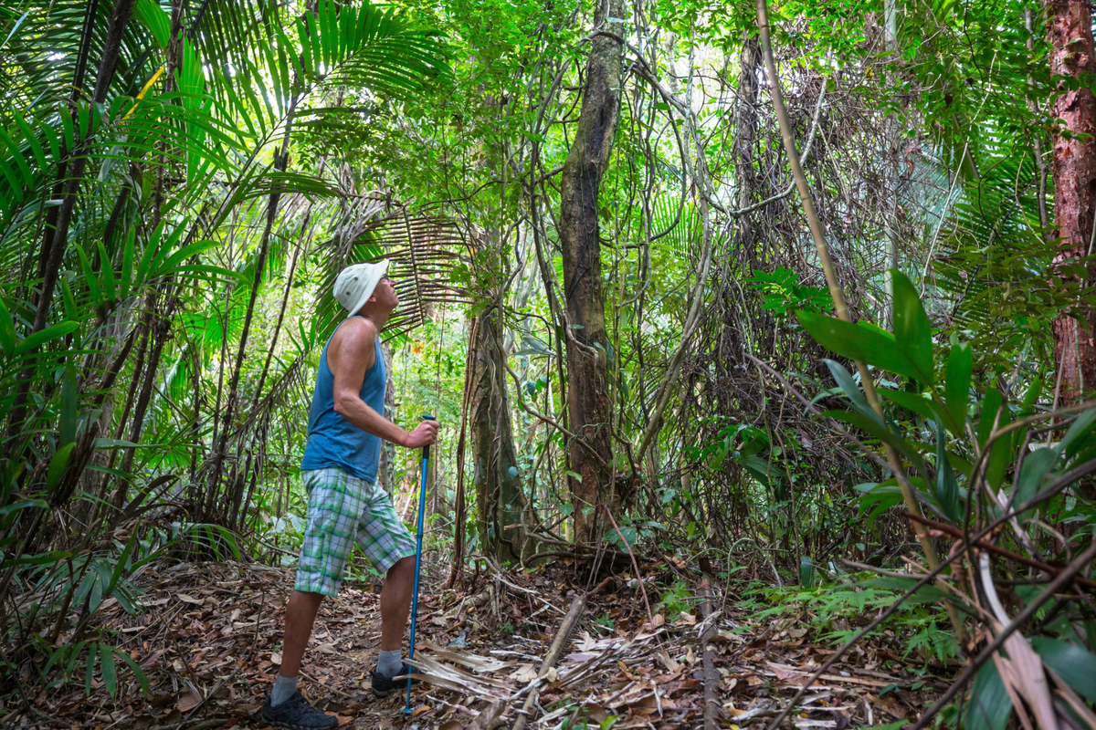 Robert Lennox-Hvenekilde, Colombia, jungle, Gen Z, homeownership, off-grid, sustainable, dream life, TikTok, Newsweek