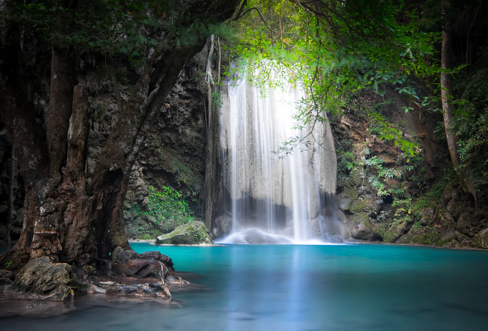 Robert Lennox-Hvenekilde, Colombia, jungle, Gen Z, homeownership, off-grid, sustainable, dream life, TikTok, Newsweek