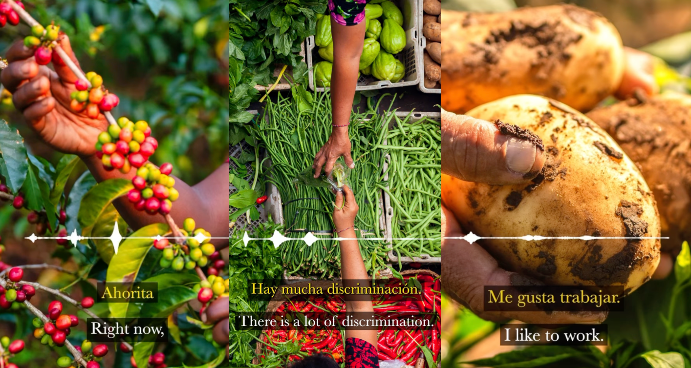 The farmworkers who feed America have a message for all of us