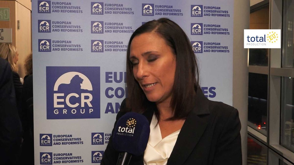 Immigrazione: «I Paesi Ue vogliono collaborare a prescindere dall'estrazione politica»