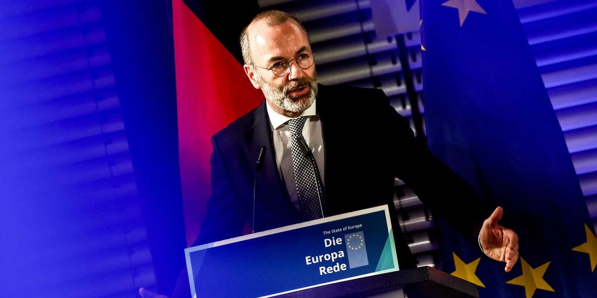 Maggioranza Ursula abbattuta ancora. Ppe destre cambiano la deforestazione