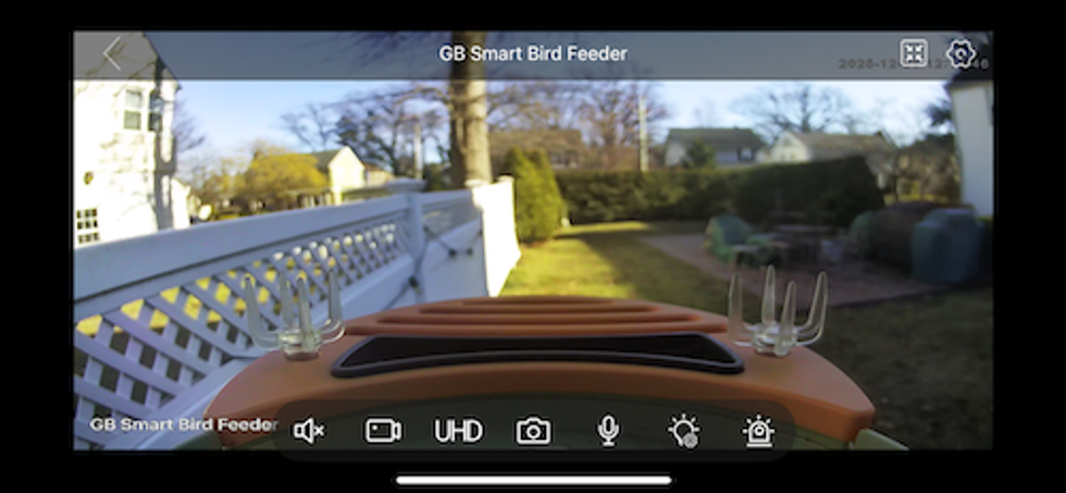 screenshot from Vinguys Smart Bird Feeder during the day in app