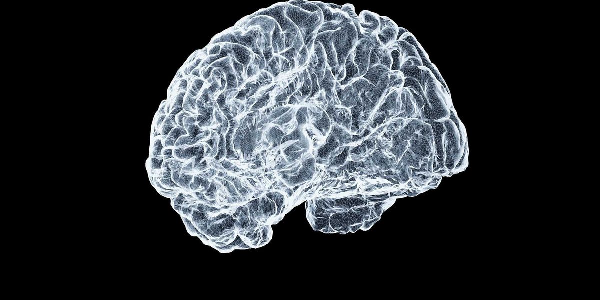 Houston brain health co. secures $6.5M for rare disease study
