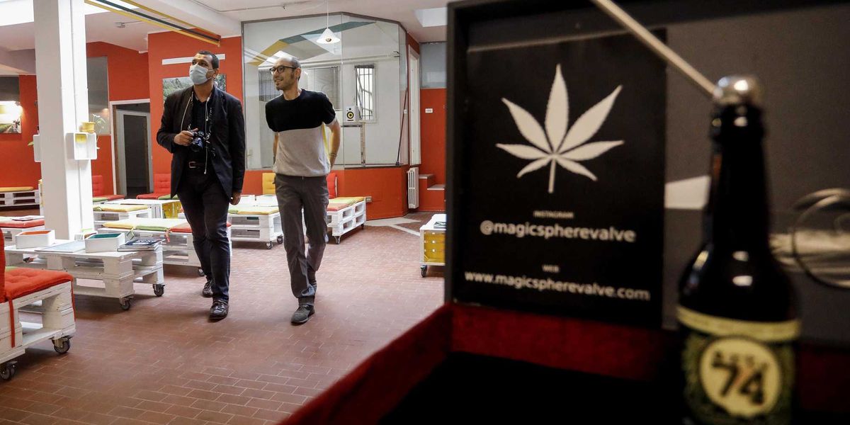 Fdi rilegalizza la cannabis, poi ci ripensa