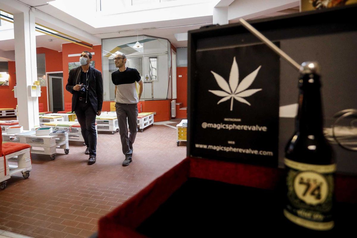 Fdi rilegalizza la cannabis, poi ci ripensa