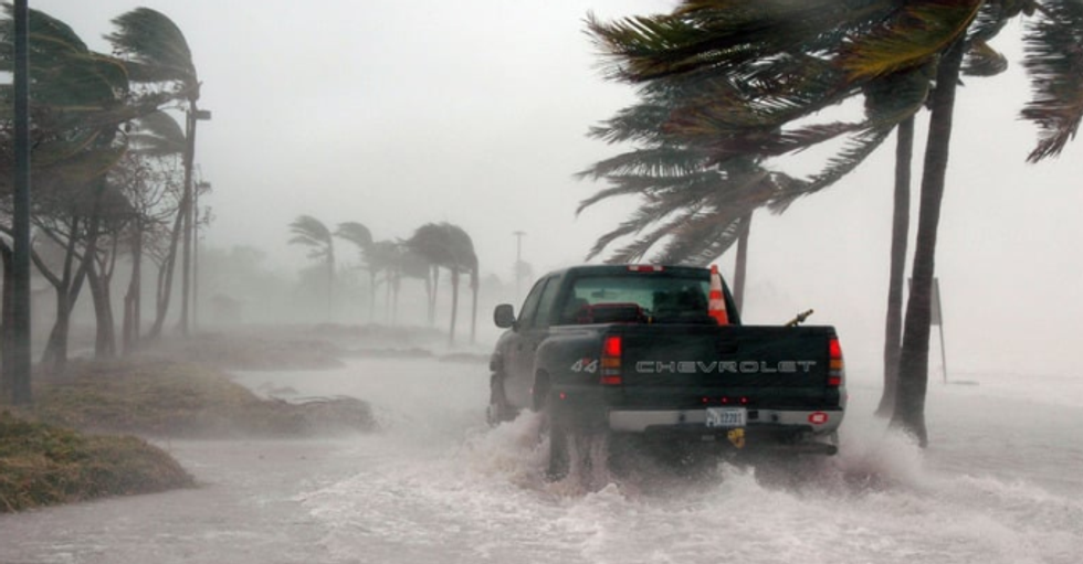hurricane, palm tree hurricane, chevy truck, rain, bad weather
