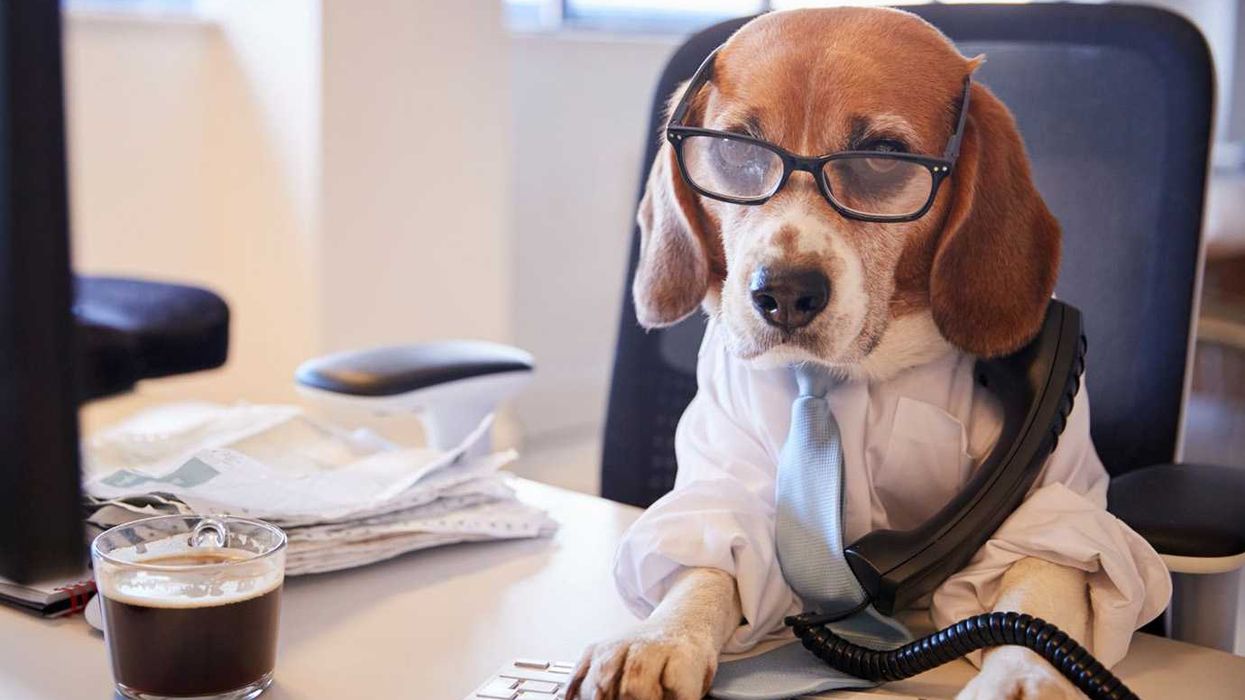 professionals, oxytocin, fee-good hormones, stress, anxiety, trauma, physiolgical regulation, counseling