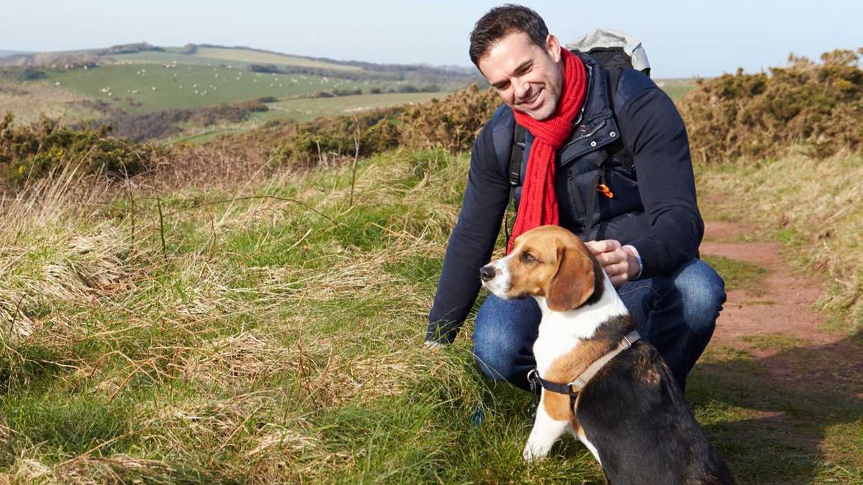 motives, nosy neighbor, venting, animal attunement, animal support, dog therapy, canine