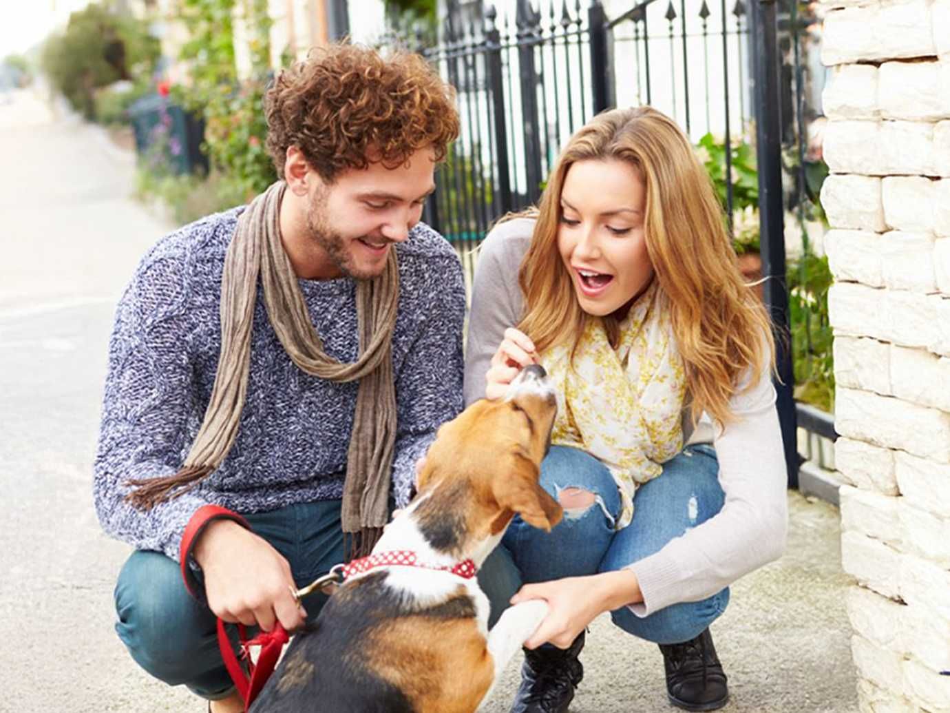 neighbors, dog walks, community, pet conversations, pet support, mood boost, funny, Reddit