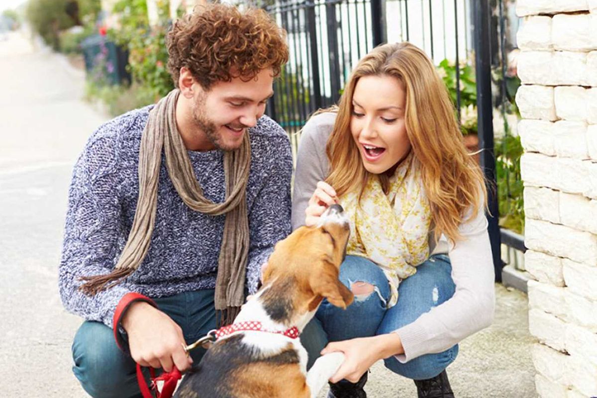 neighbors, dog walks, community, pet conversations, pet support, mood boost, funny, Reddit