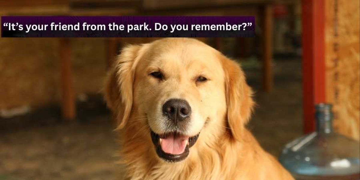 Dog recognizes his favorite words in adorable fake letter - Upworthy