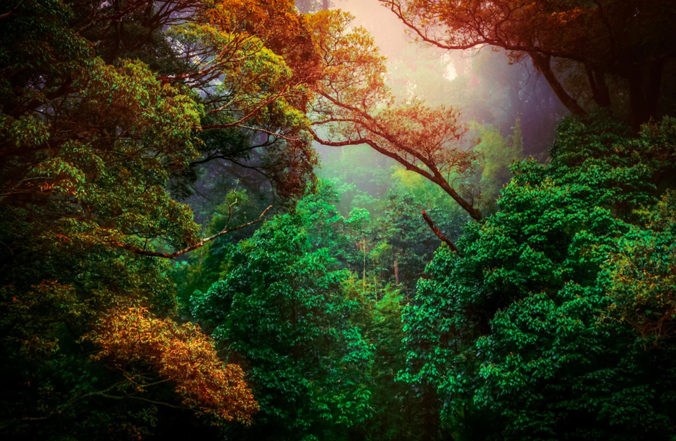 words with no english equivalent, untranslatable words, emotions words, language, english, french, dutch, korean, chinese, german, words, unique words