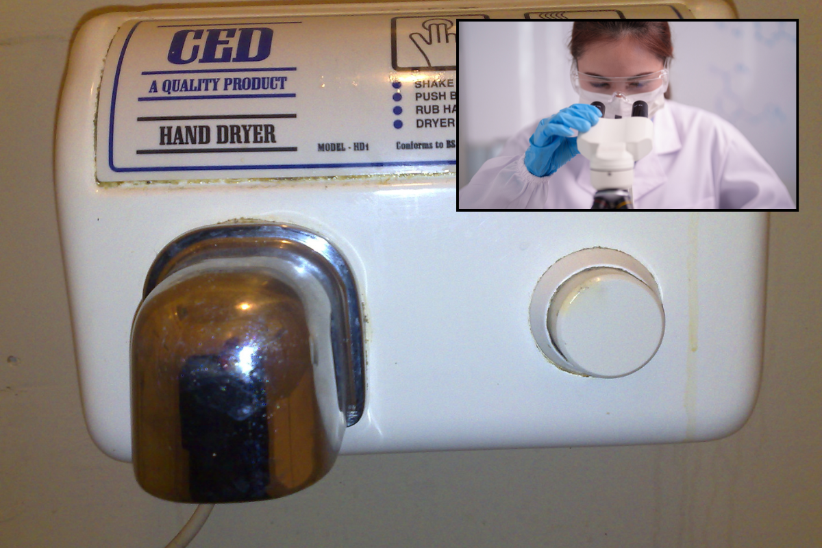 hygiene, health, public health, germs, viruses, bathroom, public bathroom, toilet, hand washing, personal hygiene