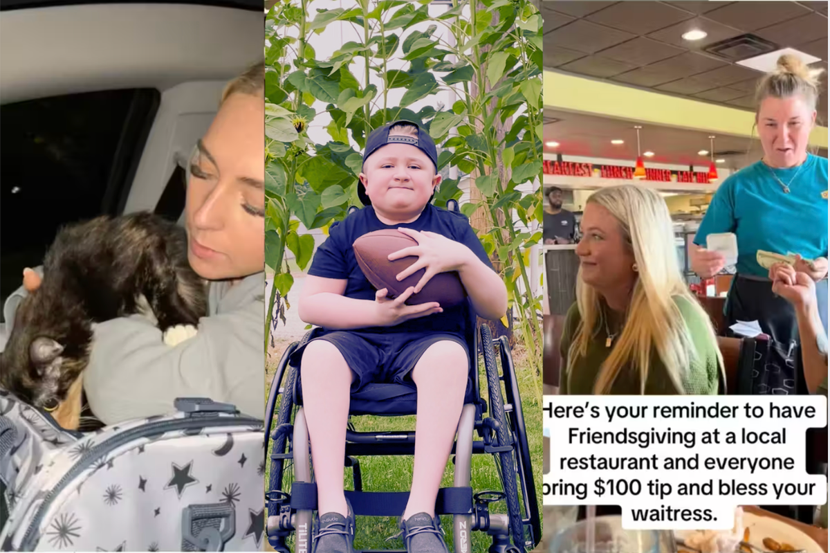 Here are five joyful things that are brightening up our internet this week