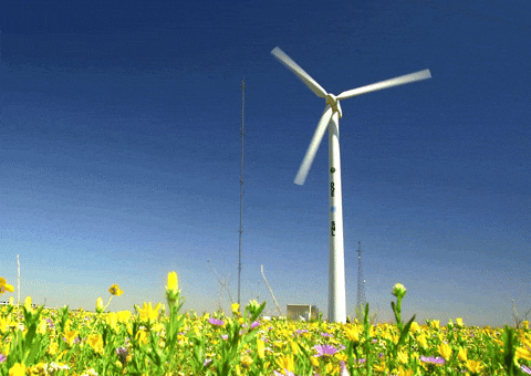 wind farm, windmill, turbine, wind power, rewewable energy