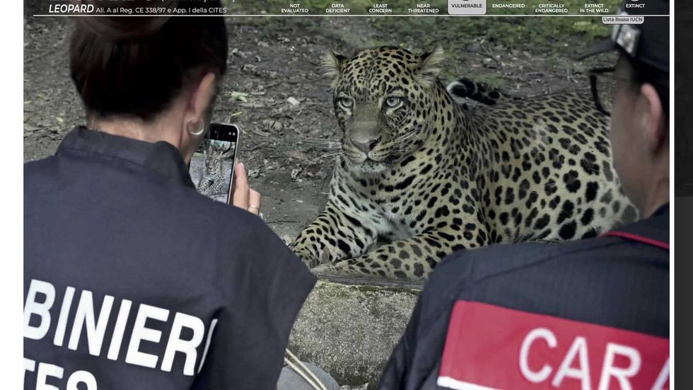 I Carabinieri e la biodiversità: celebrati i 50 anni di Cites