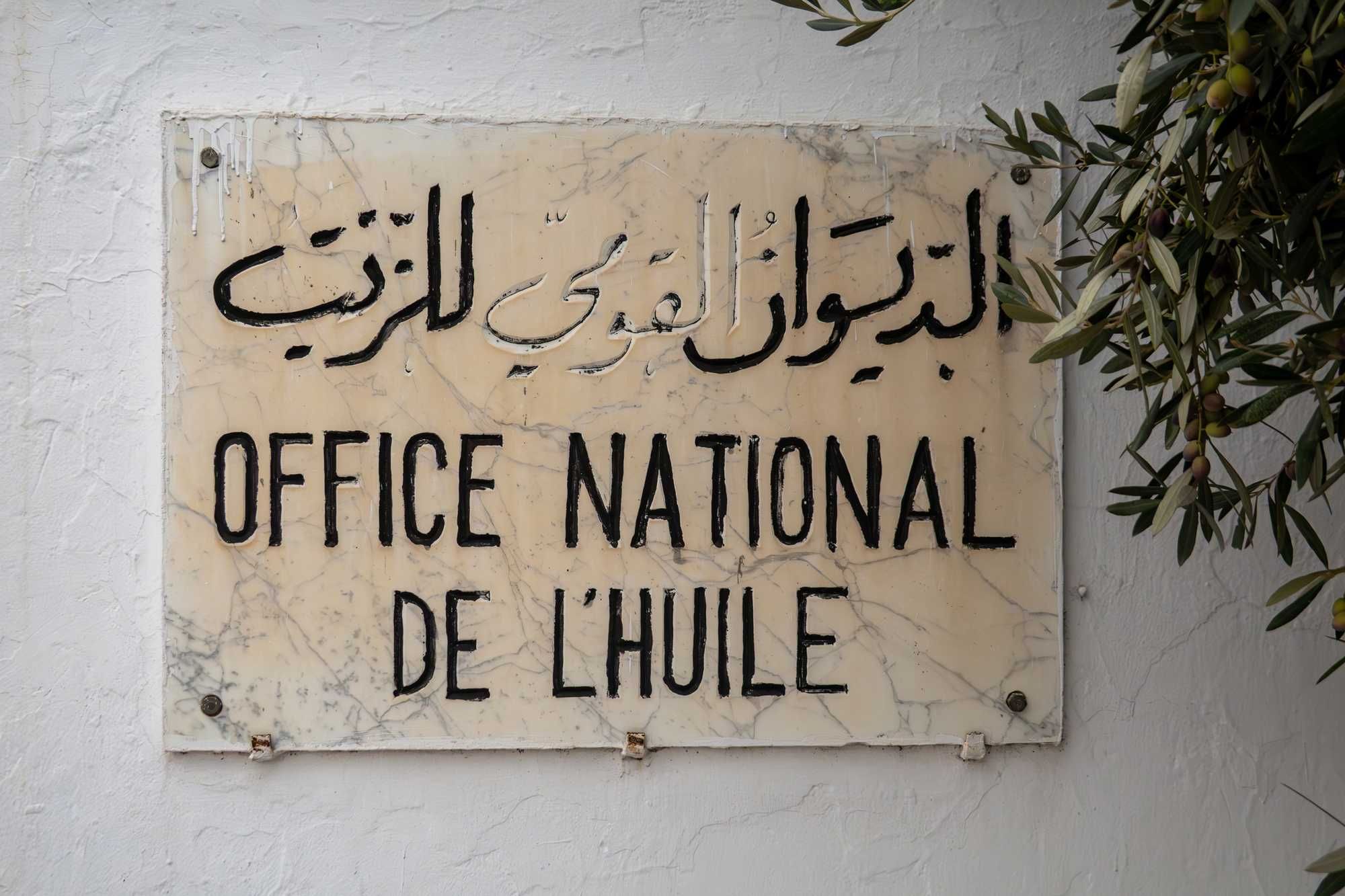 La Ue ha spalancato le porte e adesso la Tunisia produrrà più olio d’oliva dell’Italia