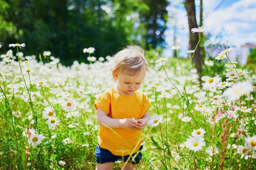 Classic 'Pick More Daisies' poem is inspiring a new wave of advice to people's younger selves