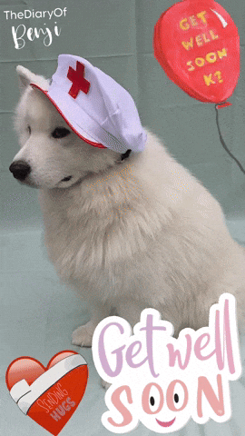 idioms, language, words, fun phrases, linguistics, etymology, have your cake and eat it too, sick as a dog, word origins