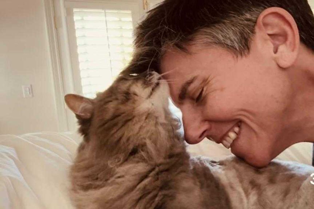 Tig, Tig Notaro, grief, loss, Andrea Gibson, Anderson Cooper