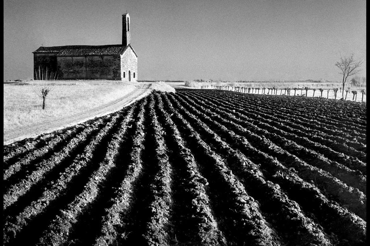 Elio Ciol in mostra al Museo Diocesano di Milano
