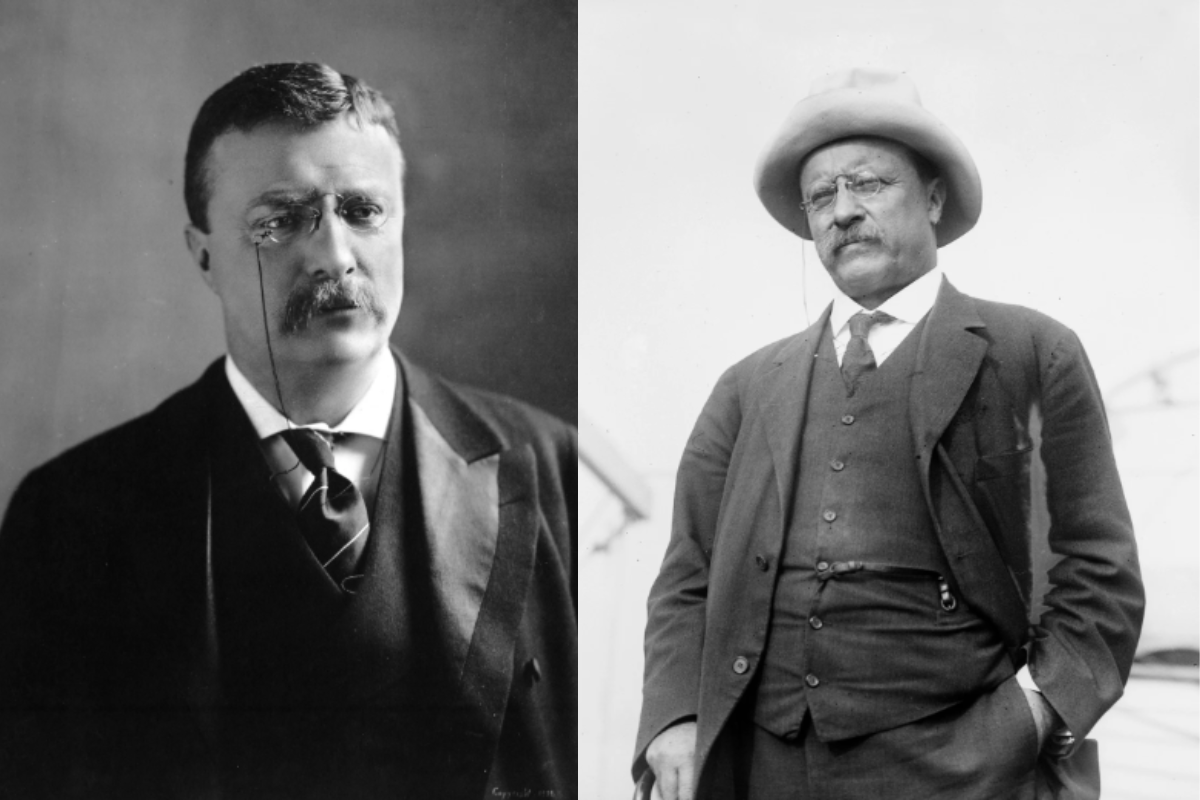 teddy roosevelt, theodore roosevelt, president roosevelt, grief, depression