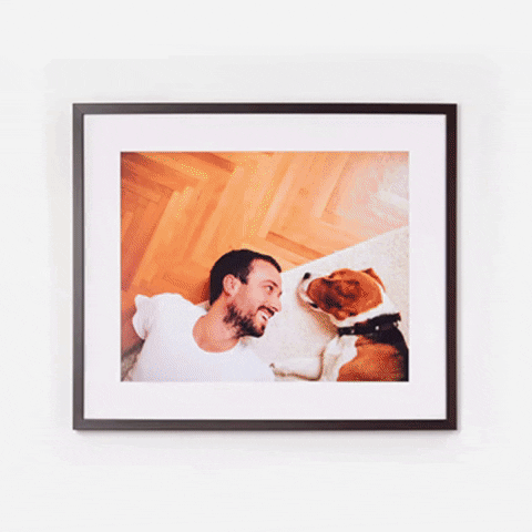 wall art, family photos, photos, art, design, decor