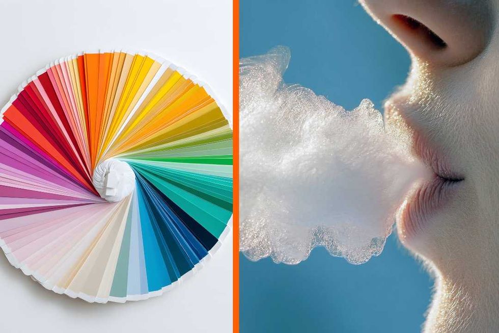 People are rebelling against Pantone's 2026 'Color of the Year' by choosing their own color instead