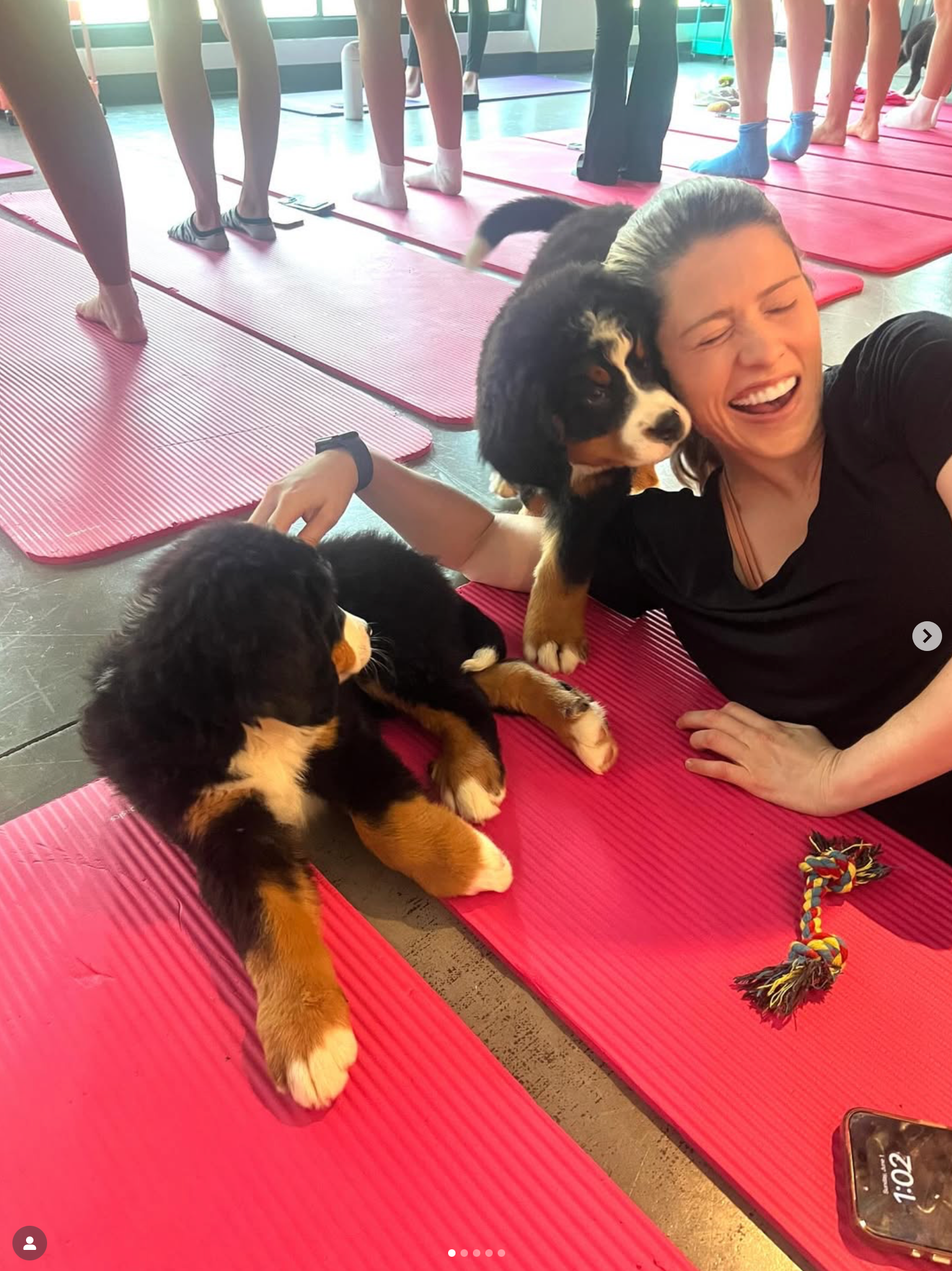 puppies, playfulness, honesty, small stuff, brain surgeries, spa day, brain, COVID