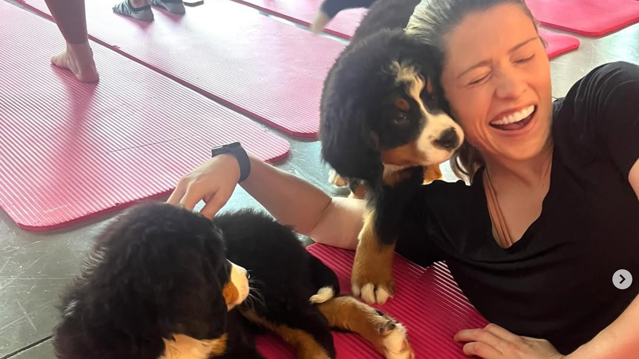 puppies, playfulness, honesty, small stuff, brain surgeries, spa day, brain, COVID