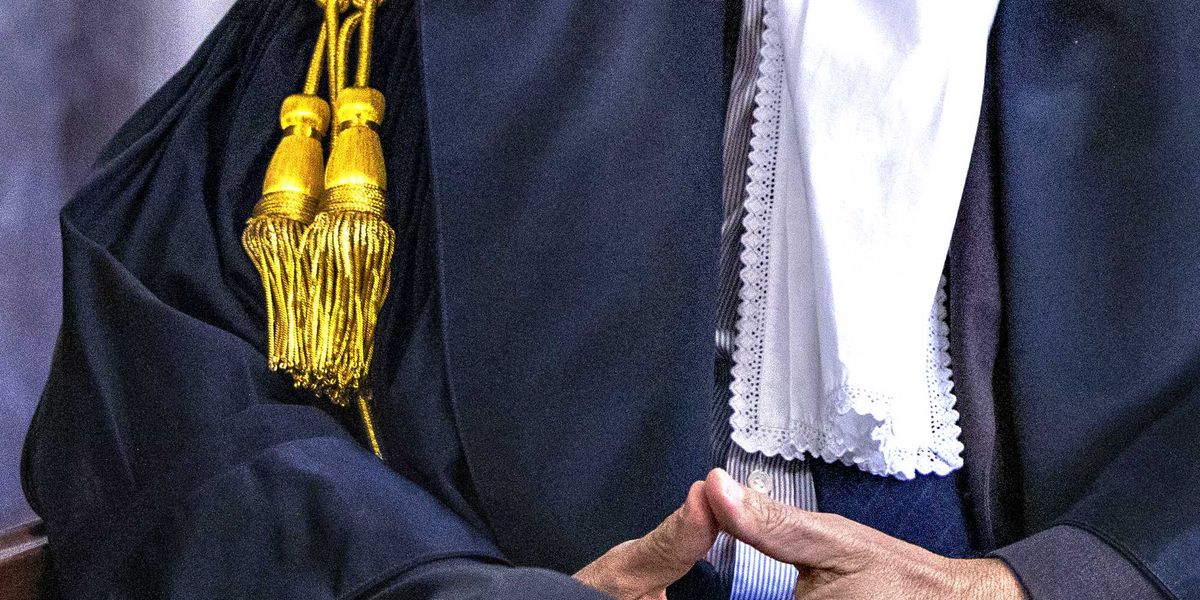 le querele delle ong costano pi249 delle altre