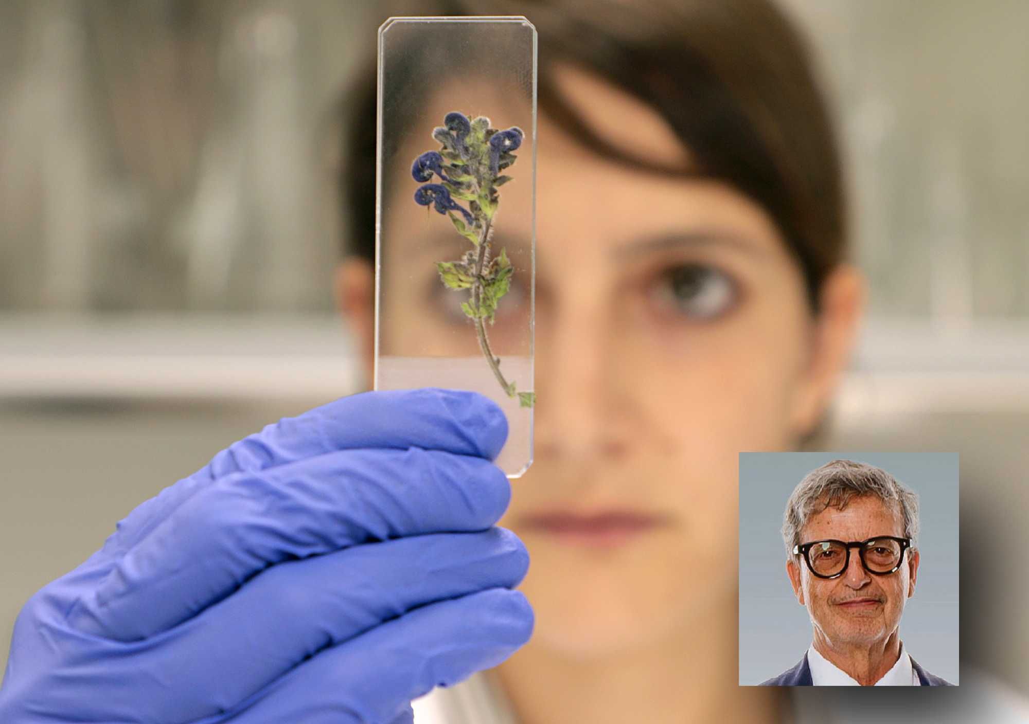 Massimo Slaviero: «Le Alpi bellunesi aiutano a fare innovazione»