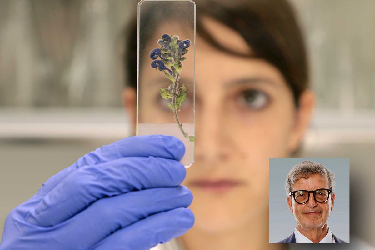 Massimo Slaviero: «Le Alpi bellunesi aiutano a fare innovazione»