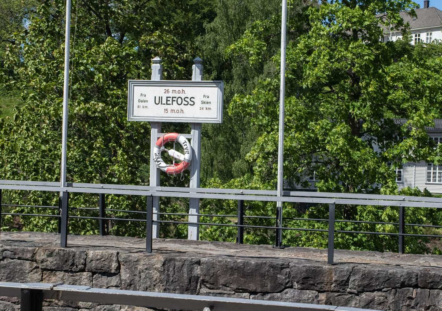 Stop al maggior sito di terre rare d’Europa. È più importante difendere i coleotteri