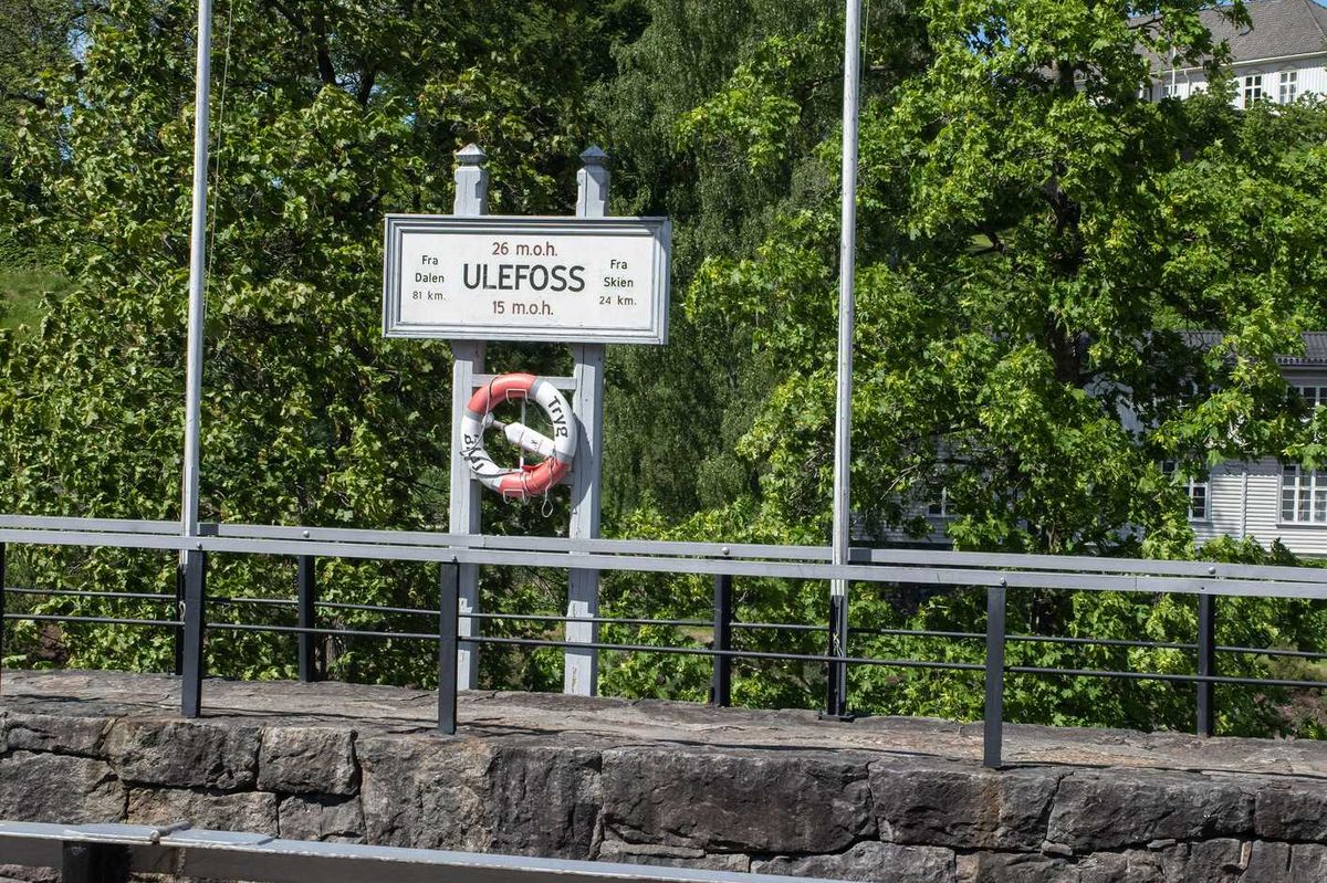 Stop al maggior sito di terre rare d’Europa. È più importante difendere i coleotteri