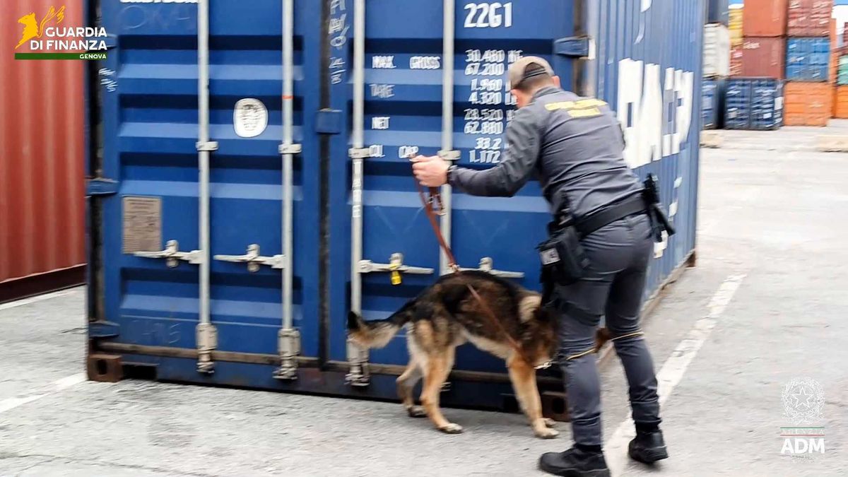 Genova, la Gdf sequestra cocaina per 1,5 miliardi di euro