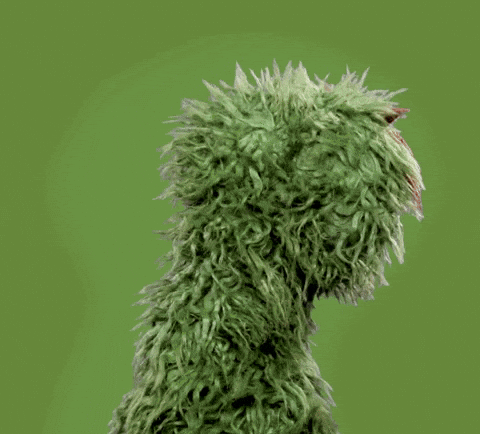 sesame street, oscar the grouch, oscar, grover, names, kids