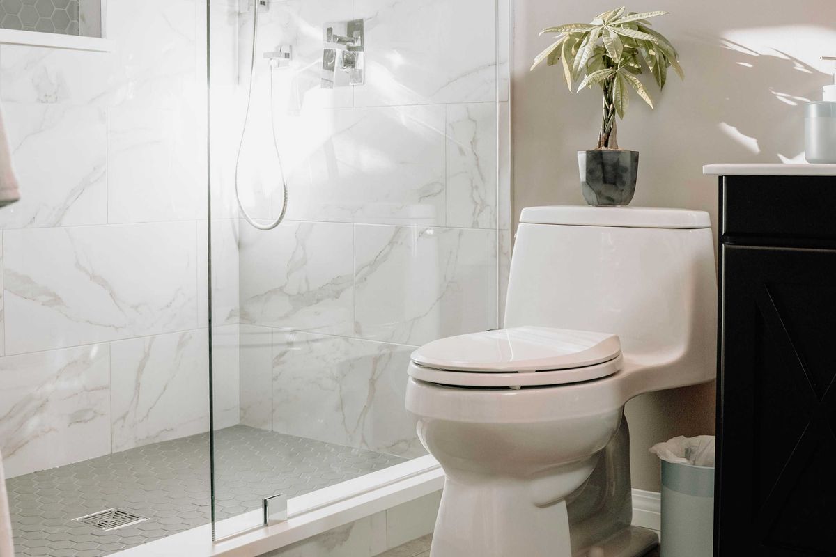 bathroom, shower, toilet, sink