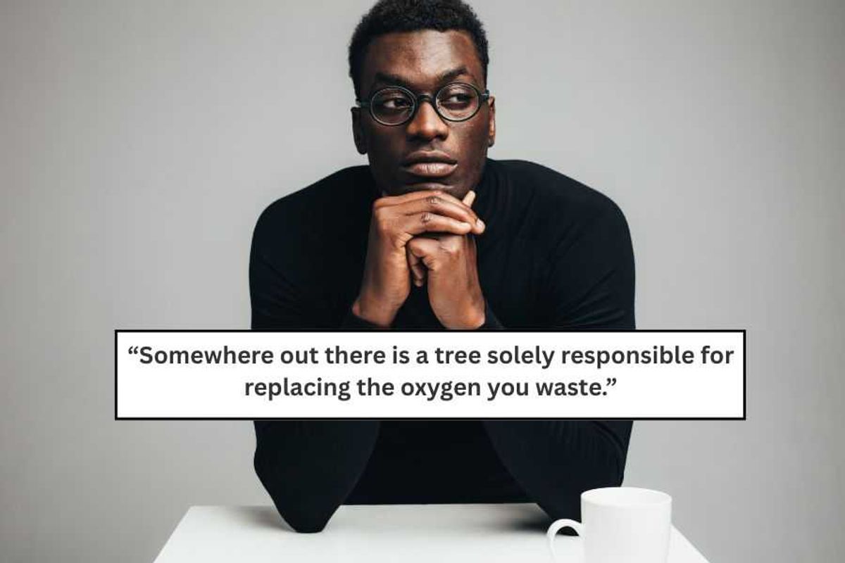 insults, non-swearing insults, shakespearean insults, literary insults, clever insults, witty comebacks, ask reddit