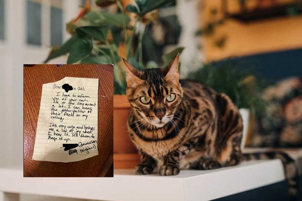 Stranger leaves the perfect note for upstairs neighbor about their noisy cat running around