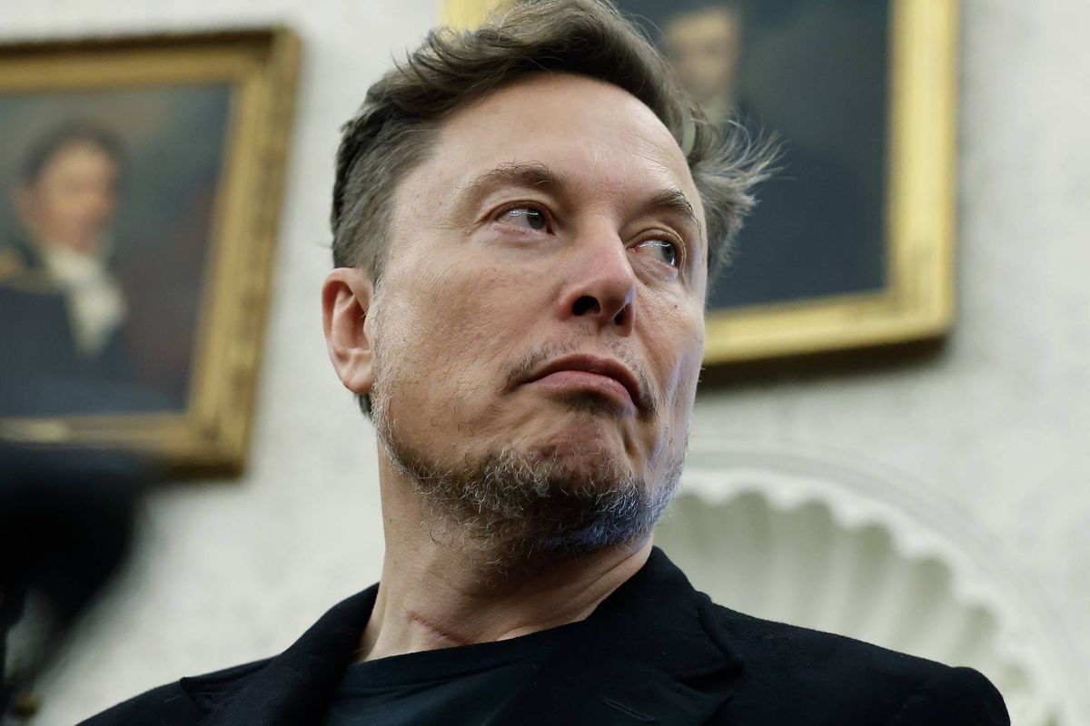 „Absoluter Verfechter der Meinungsfreiheit“ Elon Musk fordert ...