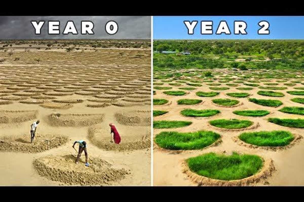 Water harvesting, water system, growing food in the desert, agriculture, farming