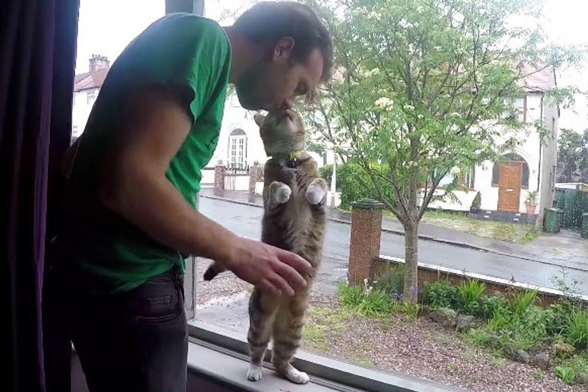 These Men Show How Proud They Are To Be Cat Dads
