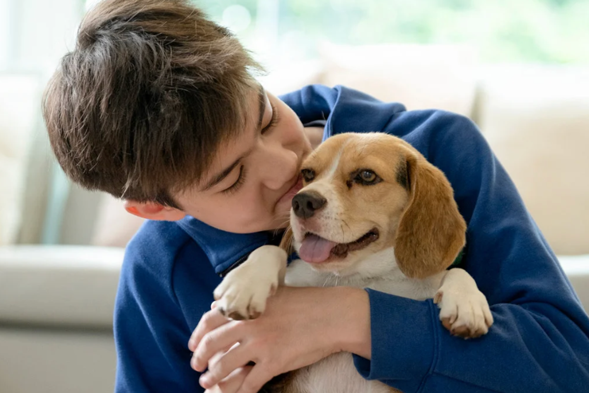 dog experiments, dog tongue cleaner than humans, experiments by kids, cool science, dogs, fun science, experiments, science